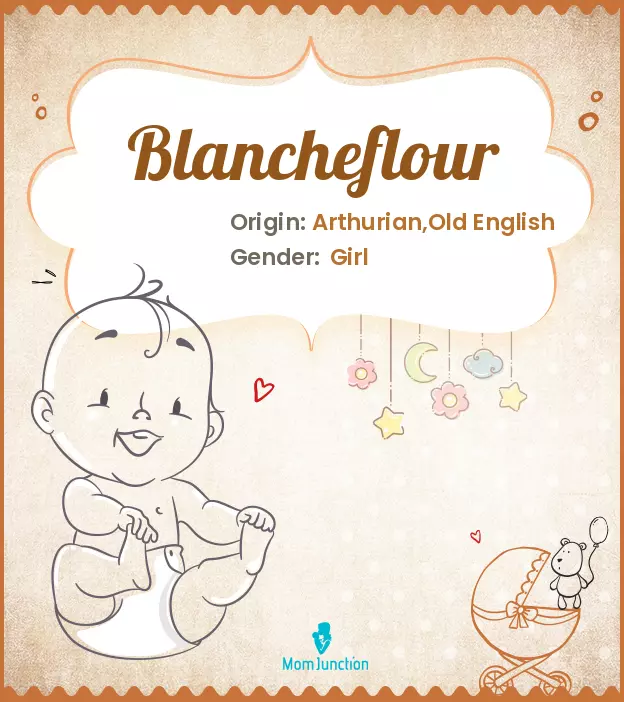 Blancheflour_image