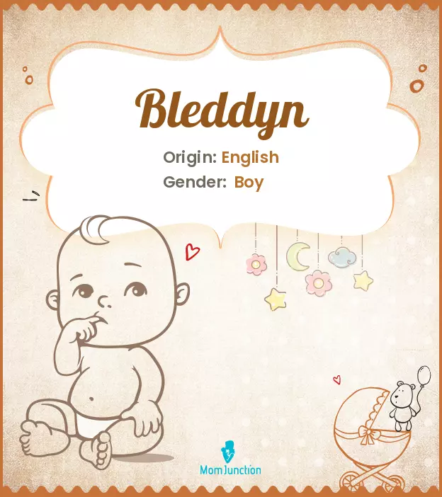 bleddyn_image