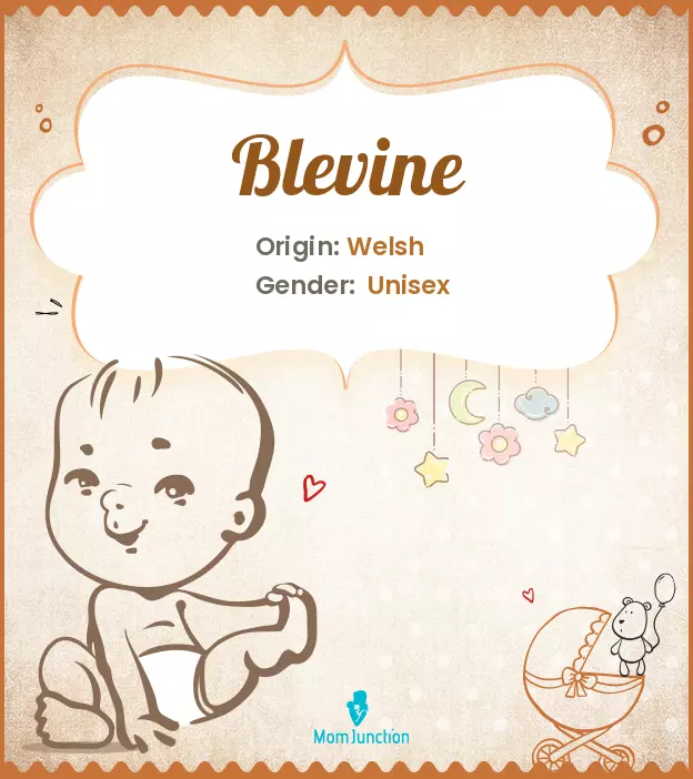 blevine_image