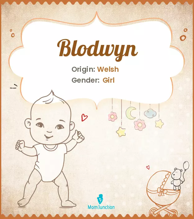 Origin, Meaning & Other Facts About Baby Name Blodwyn ...