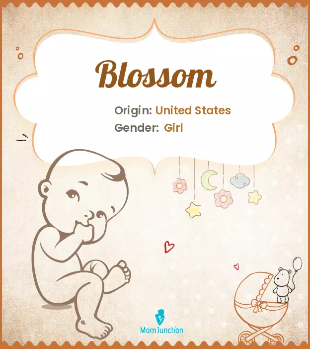 Origin, Meaning & Other Facts About Baby Name Blossom ...