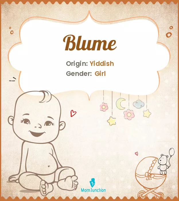 Origin, Meaning & Other Facts About Baby Name Blume_image