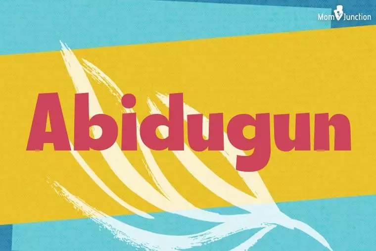 Abidugun Stylish Wallpaper