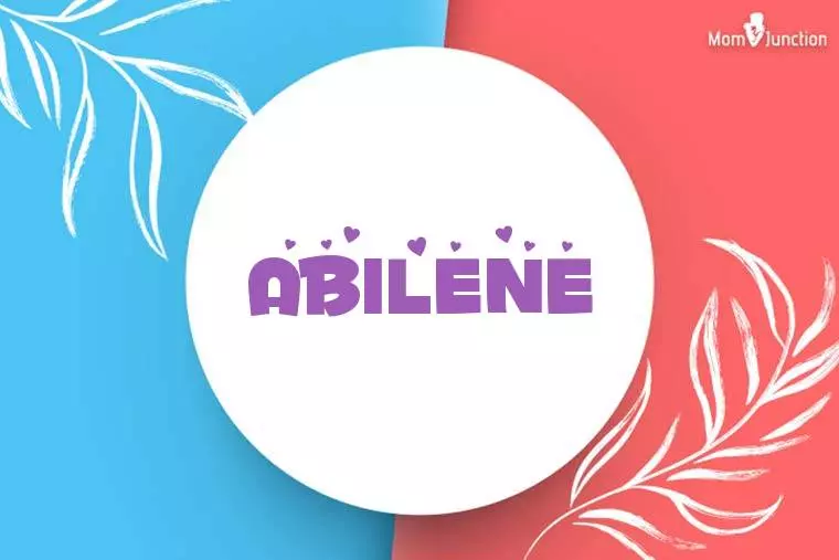 Abilene Stylish Wallpaper