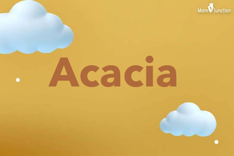 Acacia 3D Wallpaper