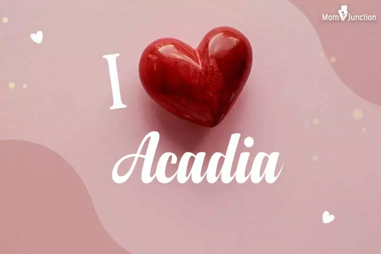 I Love Acadia Wallpaper