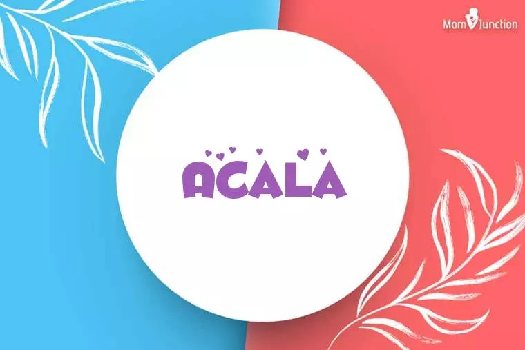 Acala Stylish Wallpaper