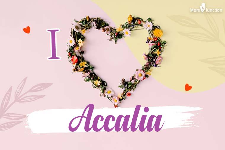 I Love Accalia Wallpaper