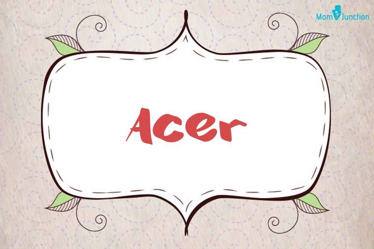 Acer Stylish Wallpaper