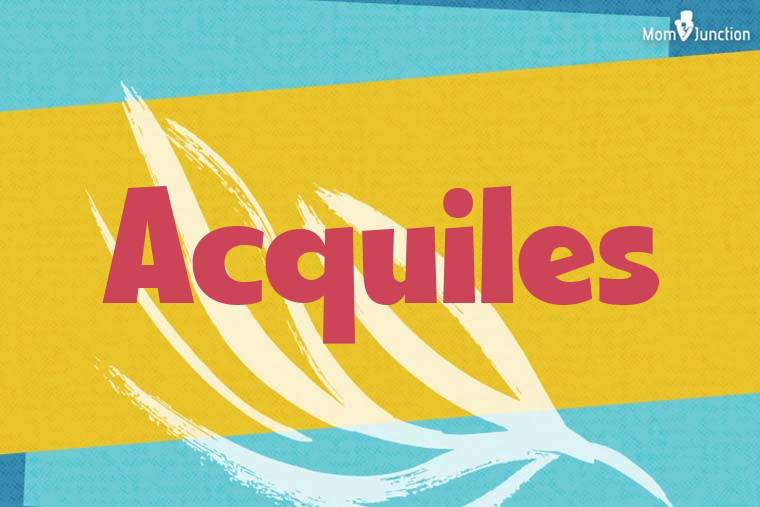 Acquiles Stylish Wallpaper