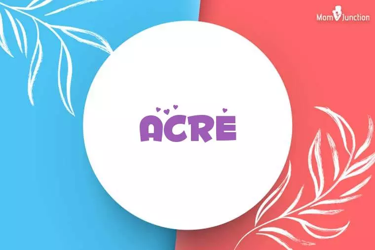 Acre Stylish Wallpaper