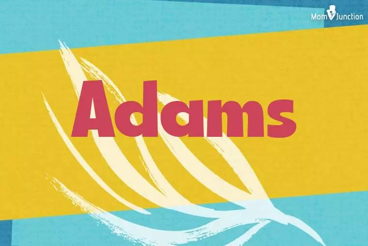 Adams Stylish Wallpaper