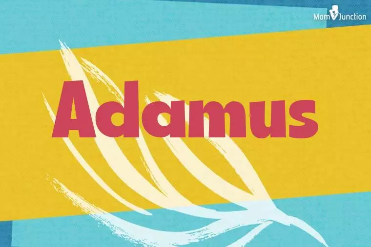 Adamus Stylish Wallpaper