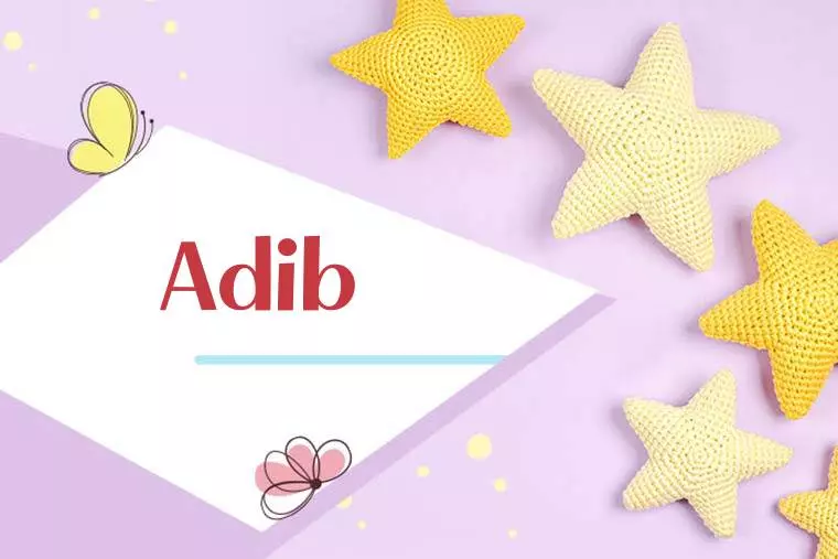 Adib Stylish Wallpaper