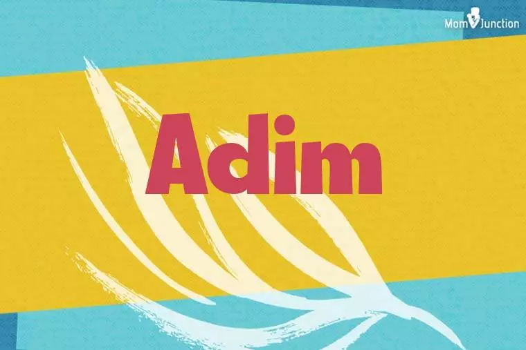 Adim Stylish Wallpaper