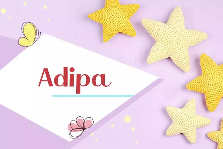 Adipa Stylish Wallpaper