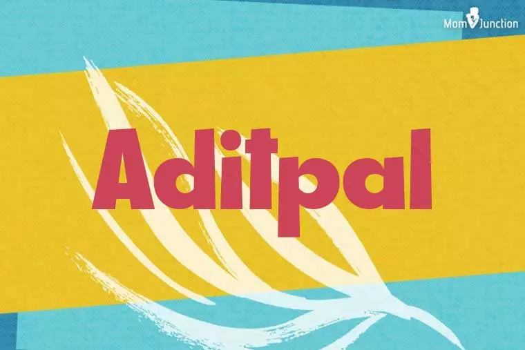 Aditpal Stylish Wallpaper