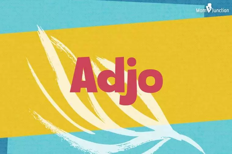 Adjo Stylish Wallpaper