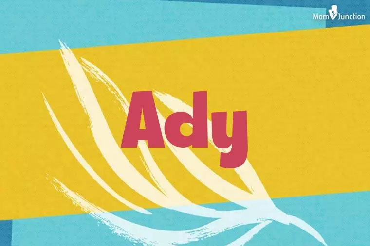 Ady Stylish Wallpaper