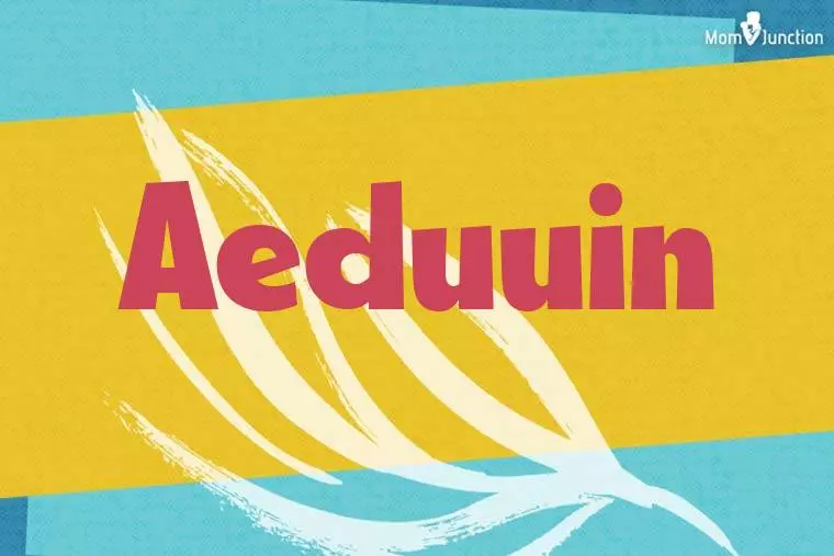 Aeduuin Stylish Wallpaper