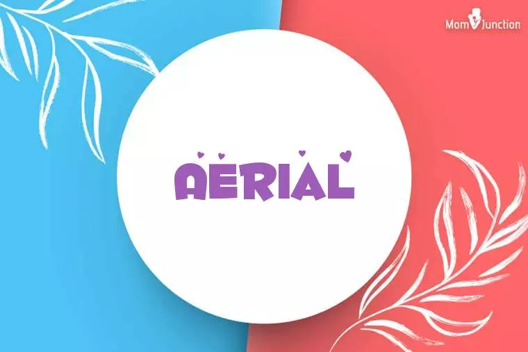 Aerial Stylish Wallpaper