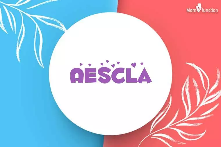 Aescla Stylish Wallpaper