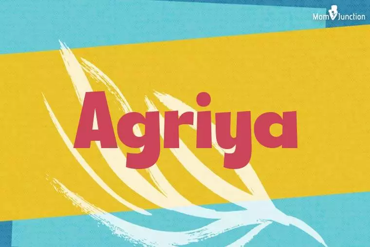 Agriya Stylish Wallpaper