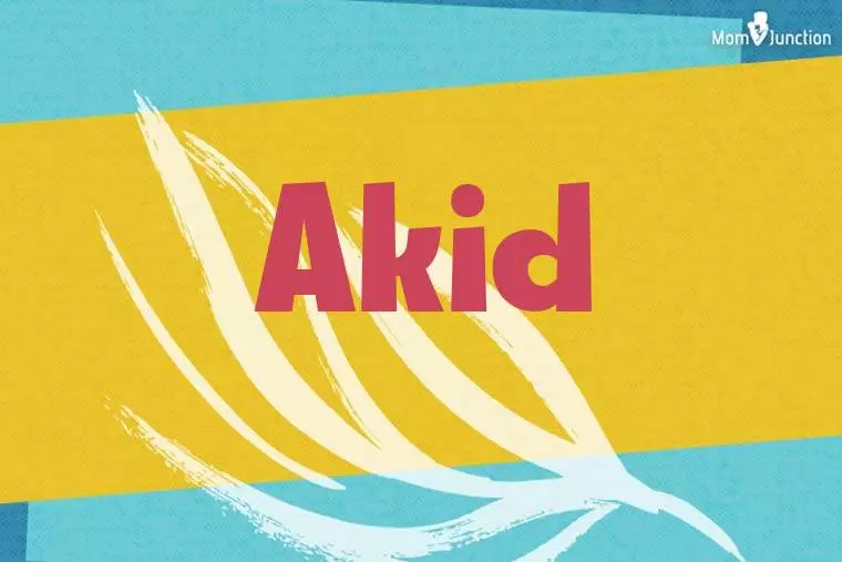 Akid Stylish Wallpaper