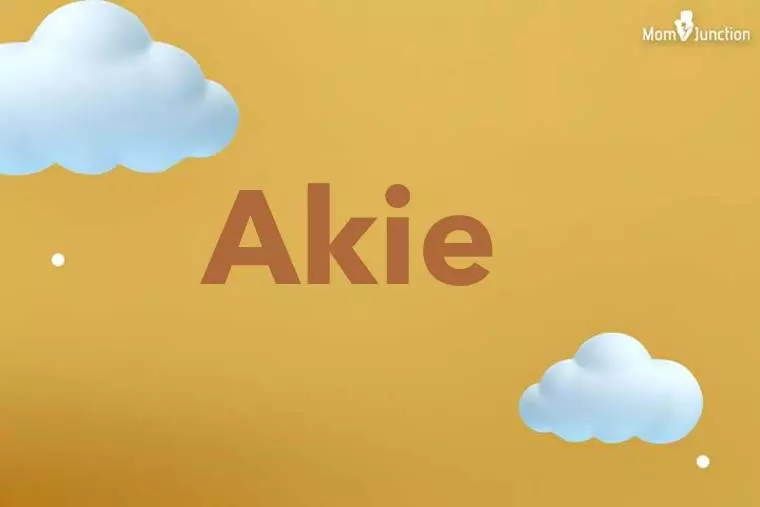 Akie 3D Wallpaper