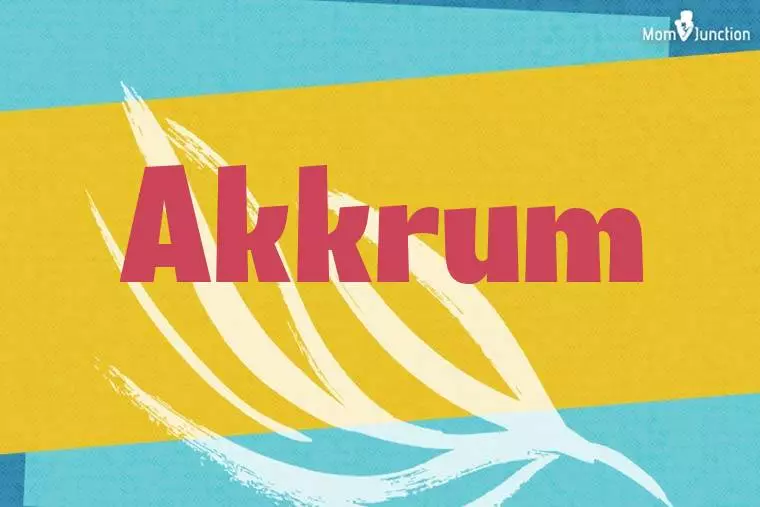 Akkrum Stylish Wallpaper