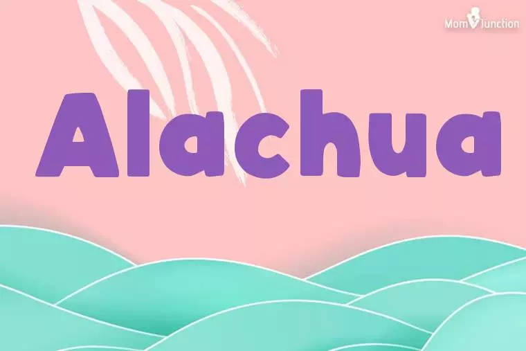 Alachua Stylish Wallpaper