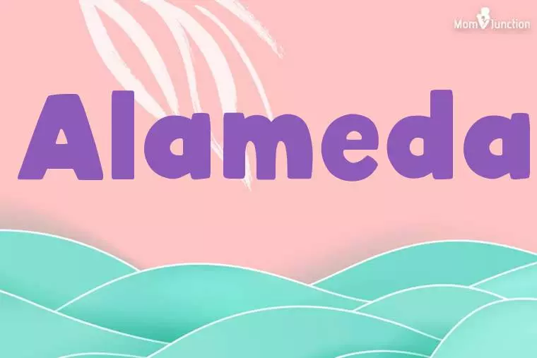 Alameda Stylish Wallpaper