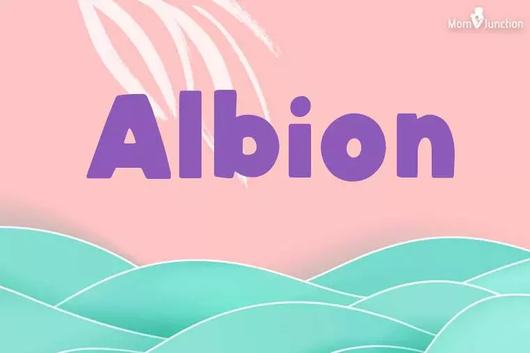 Albion Stylish Wallpaper