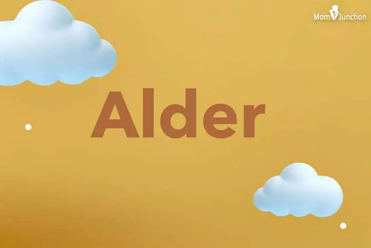 Alder 3D Wallpaper