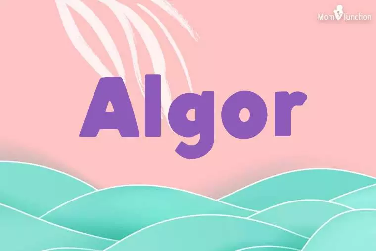 Algor Stylish Wallpaper