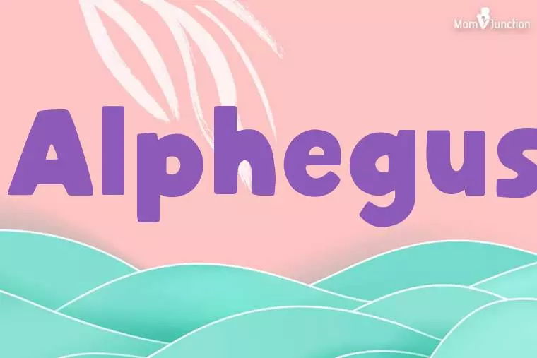 Alphegus Stylish Wallpaper