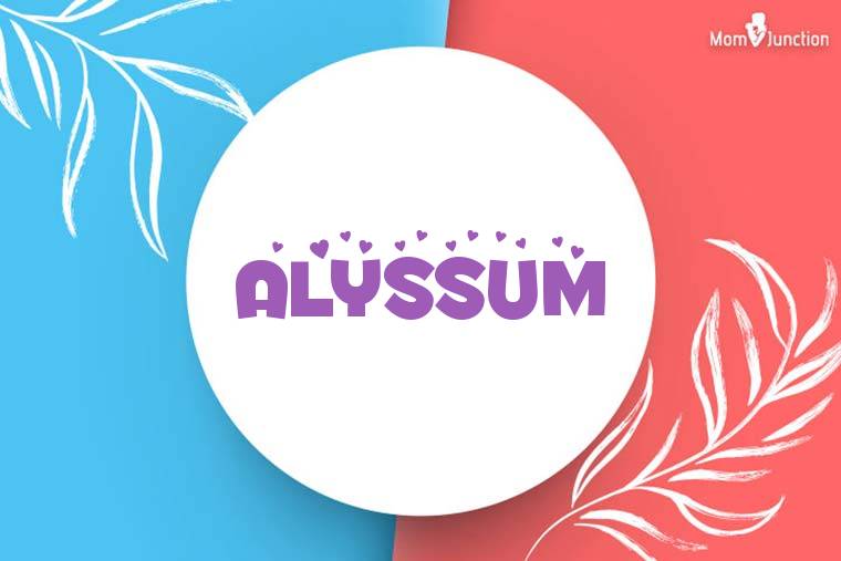 Alyssum Stylish Wallpaper