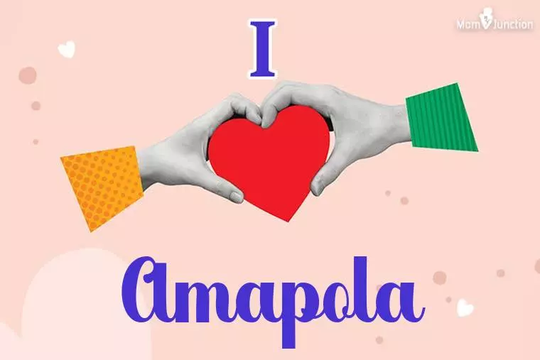 I Love Amapola Wallpaper