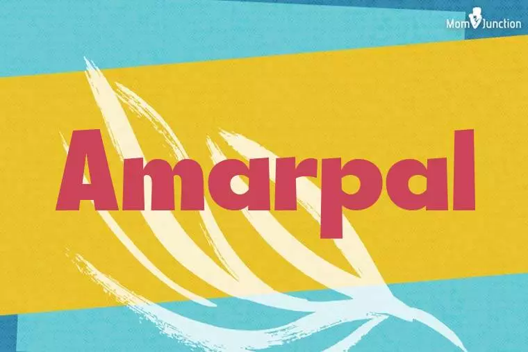 Amarpal Stylish Wallpaper