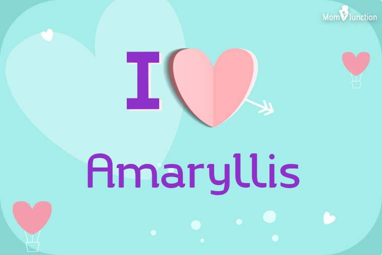 I Love Amaryllis Wallpaper