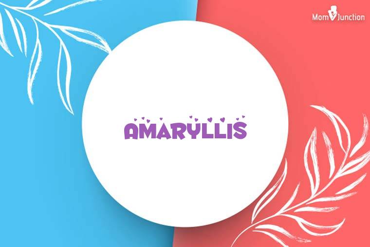 Amaryllis Stylish Wallpaper
