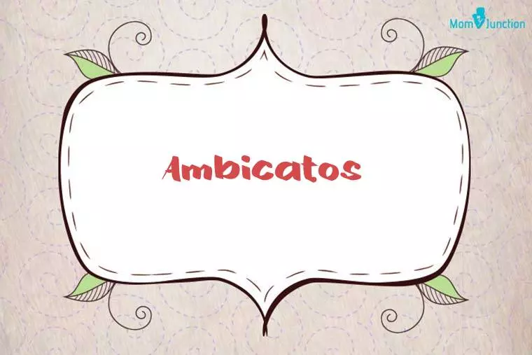 Ambicatos Stylish Wallpaper