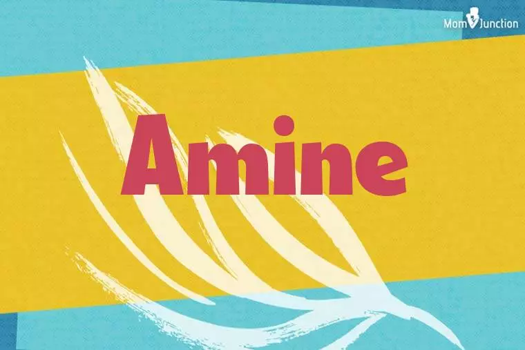 Amine Stylish Wallpaper