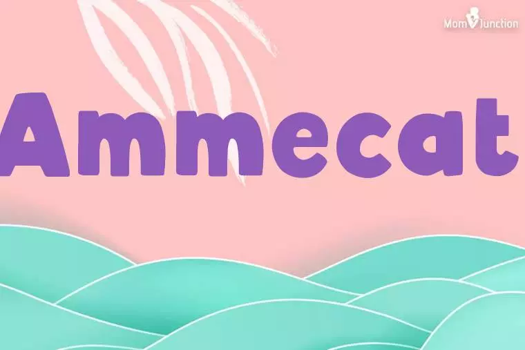 Ammecati Stylish Wallpaper