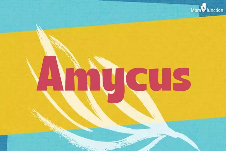 Amycus Stylish Wallpaper