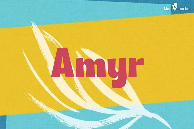 Amyr Stylish Wallpaper