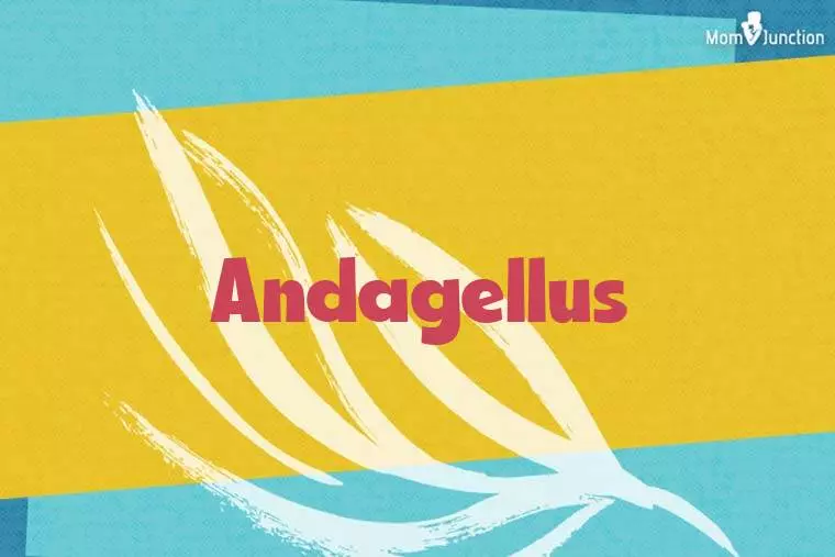 Andagellus Stylish Wallpaper