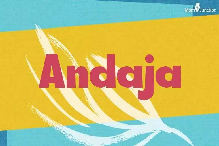 Andaja Stylish Wallpaper