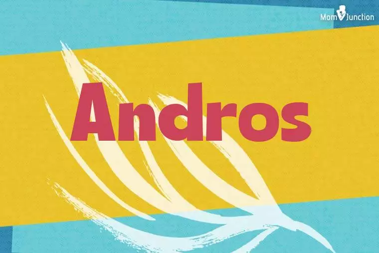 Andros Stylish Wallpaper