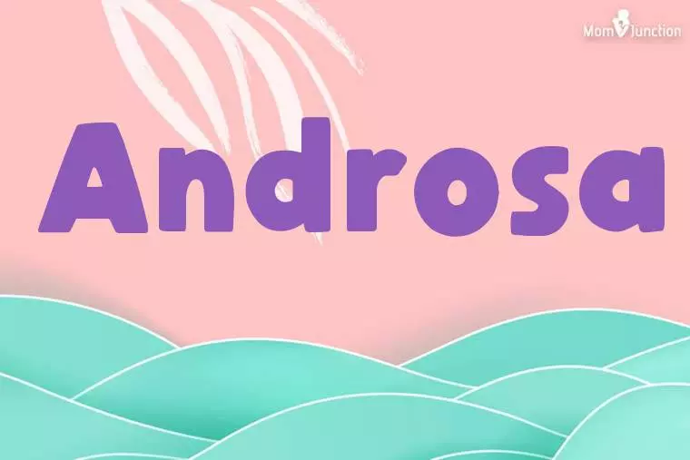 Androsa Stylish Wallpaper